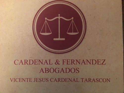 Vicente Jesús Cardenal Tarascon