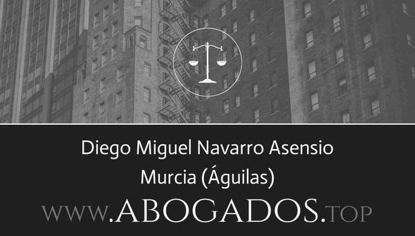 Diego Navarro Asensio